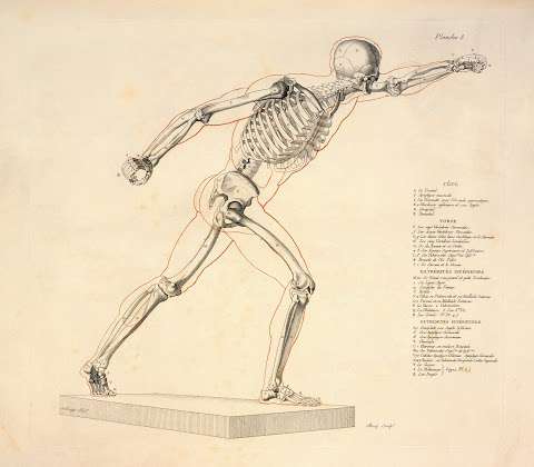Harpenden Osteopaths photo